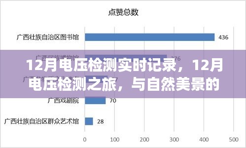 12月電壓檢測(cè)之旅，實(shí)時(shí)記錄與自然美景的交融