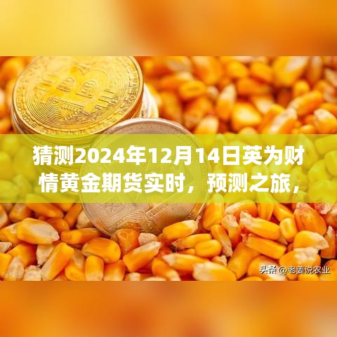 解讀英為財情黃金期貨市場展望，預測黃金期貨未來走勢，探尋黃金市場趨勢——聚焦2024年12月14日實時動態(tài)分析之旅