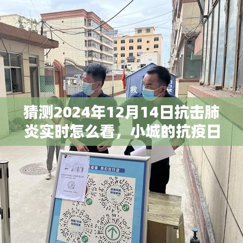 2024年12月14日小城抗疫日記，抗擊肺炎實時觀察與溫馨抗疫時光