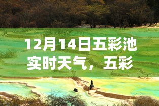 五彩池畔冬日暖陽，12月14日實時天氣報告