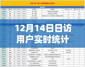 12月14日用戶實時統(tǒng)計全攻略，日訪用戶分析任務(wù)一步步完成