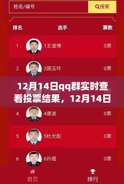 12月14日QQ群實(shí)時投票結(jié)果查看功能深度評測與介紹