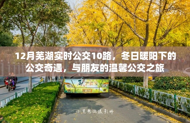 冬日暖陽下的溫馨公交之旅，蕪湖實時公交10路之旅