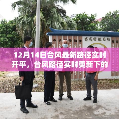 臺(tái)風(fēng)路徑實(shí)時(shí)更新決策考量，以12月14日為例的探討