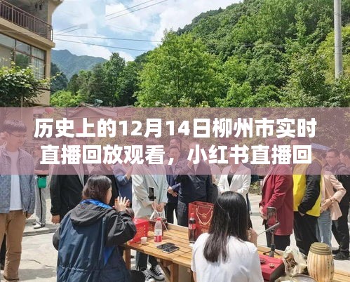 洵屬可貴 第4頁