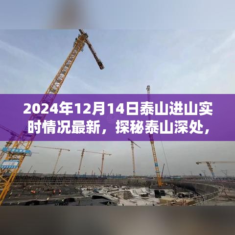 探秘泰山深處，小巷特色小店與最新進山實時情況揭秘