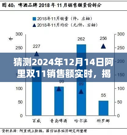 揭秘小巷深處的獨(dú)特小店，預(yù)測(cè)阿里雙11 2024年銷售額狂歡盛宴的實(shí)時(shí)動(dòng)態(tài)分析報(bào)告（雙11銷售數(shù)據(jù)預(yù)測(cè)）