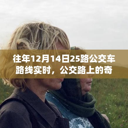十二月十五日公交之旅，路上的奇遇與溫情紐帶紀實
