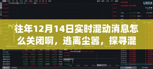 逃離塵囂之旅，探尋混動之美與關(guān)閉實時混動消息指南