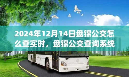 2024年盤(pán)錦公交查詢系統(tǒng)升級(jí)實(shí)時(shí)功能深度評(píng)測(cè)與指南