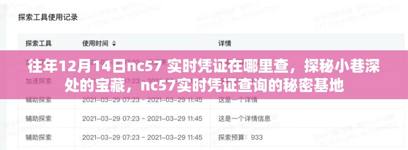 探秘往年12月14日nc57實時憑證查詢的秘密基地，小巷深處的寶藏大揭秘