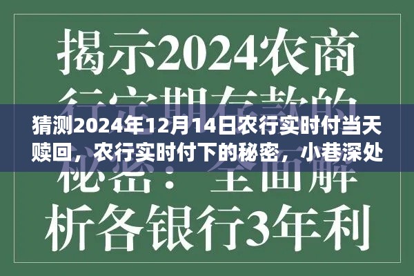 農(nóng)行實時付，揭秘特色贖回與小巷深處的秘密小店探秘