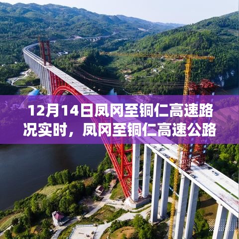 冰肌玉骨 第5頁