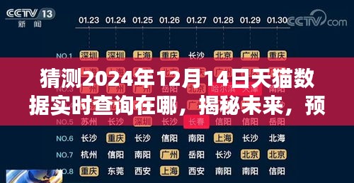 揭秘未來趨勢，預測天貓數(shù)據(jù)實時查詢新動態(tài)，探尋2024年天貓數(shù)據(jù)實時查詢位置及發(fā)展趨勢。