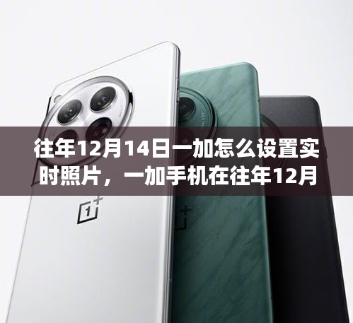 一加手機往年12月14日實時照片設(shè)置功能深度解析與評測