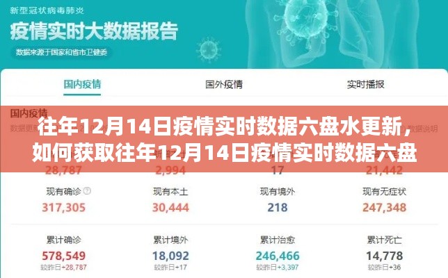 往年12月14日六盤水疫情實時數(shù)據(jù)更新指南，獲取步驟詳解