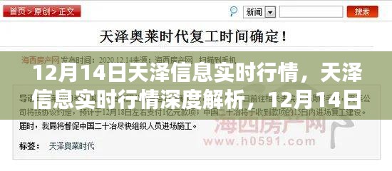 天澤信息實(shí)時(shí)行情解析，深度剖析與特殊篇章（12月14日）