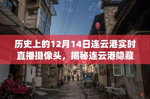 揭秘美食秘境，連云港隱藏小巷的實(shí)時(shí)直播探索之旅（附日期，12月14日）