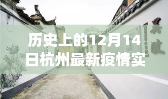 杭州疫情實(shí)時(shí)更新，歷史背景下的暖心角落與小巷獨(dú)特風(fēng)情探索