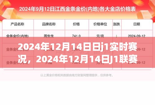 2024年12月14日J1聯(lián)賽實時賽況深度解析與某某觀點探討
