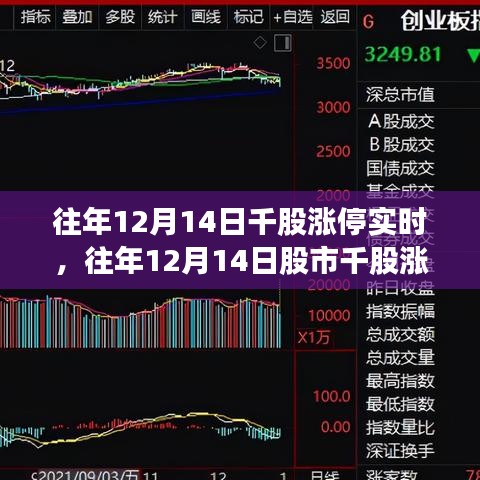回顧往年12月14日股市千股漲停盛況，市場走勢分析與策略解讀