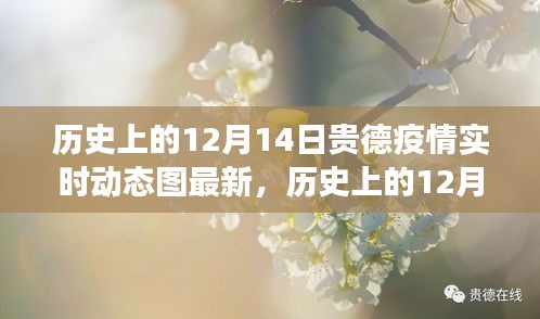 歷史上的12月14日貴德疫情實時動態(tài)圖最新解讀與更新