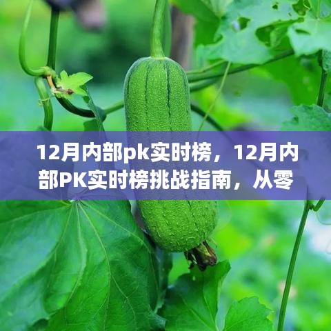 從零起步到高手的進(jìn)階之路，12月內(nèi)部PK實時榜挑戰(zhàn)指南