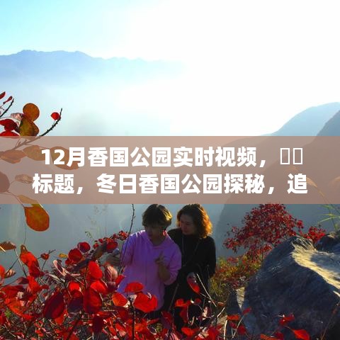 冬日香國(guó)公園實(shí)時(shí)探秘，追尋自然魔法與內(nèi)心寧?kù)o的旅程