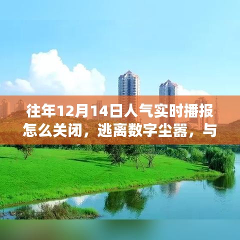 如何關(guān)閉人氣實(shí)時(shí)播報(bào)，尋找自然美景之旅，逃離數(shù)字塵囂的指南
