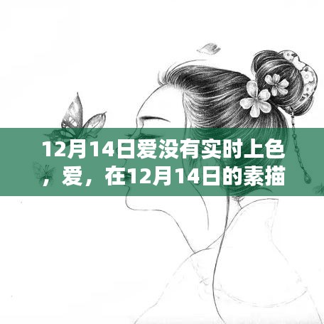 12月14日素描中的無聲之愛，悄然上色的浪漫情感