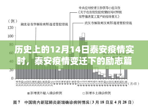 泰安疫情變遷下的勵志篇章，學(xué)習(xí)之光照亮未來之路的抗疫歷程