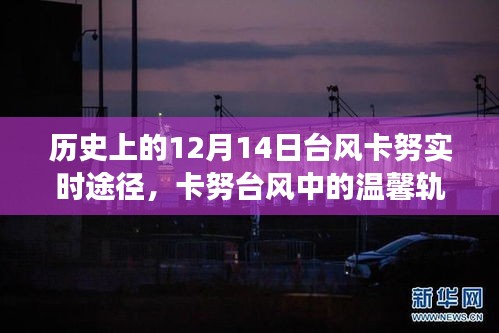 卡努臺風(fēng)中的溫情軌跡，友情與陪伴的故事，歷史記錄下的溫馨瞬間