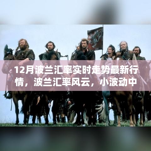 12月波蘭匯率實時走勢揭秘，小波動背后的溫情與風云