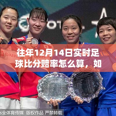 往年12月14日實時足球比分賠率詳解，計算步驟與指南