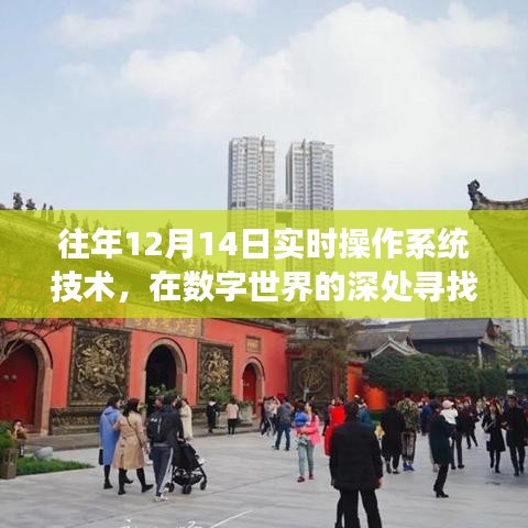 數(shù)字世界的探索與內心寧靜的追求，十二月十四日實時操作系統(tǒng)技術的自然之旅