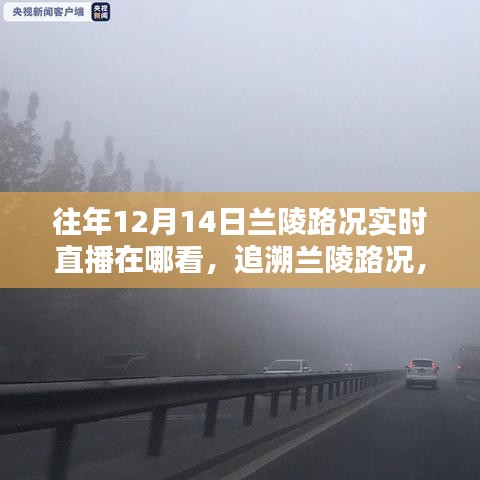 百鳥齊鳴 第5頁