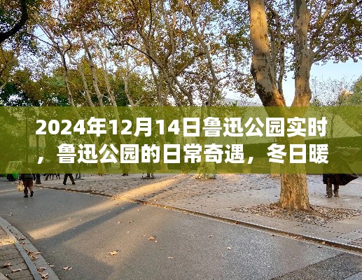 魯迅公園冬日暖陽下的日常奇遇與溫馨時光紀(jì)實（實時更新）