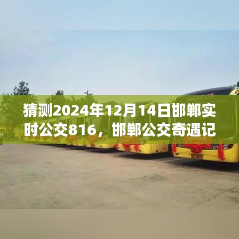 邯鄲公交奇遇記，揭秘與公交816的不解之緣，預(yù)測(cè)2024年12月14日實(shí)時(shí)動(dòng)態(tài)
