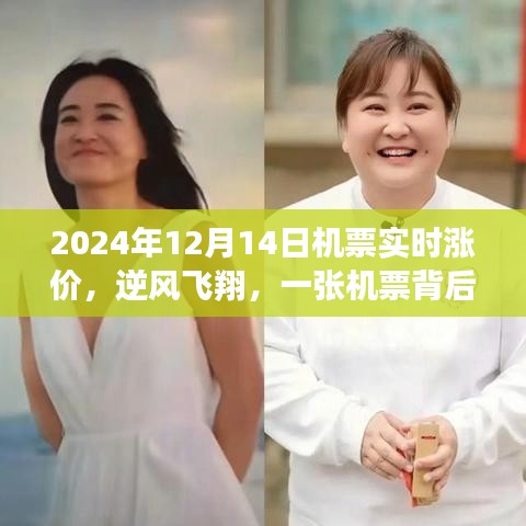 逆風飛翔背后的溫情故事，一張機票的實時漲價與感人故事