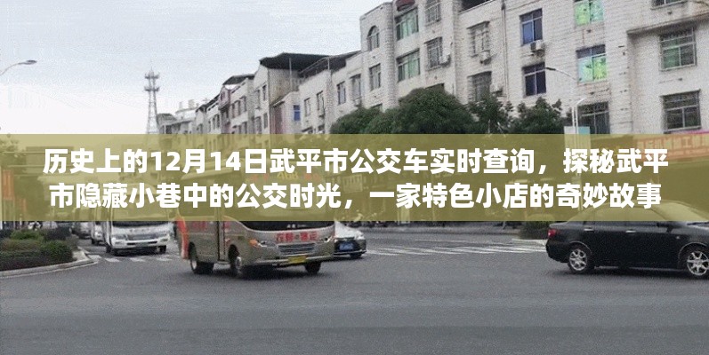 武平市公交探秘，歷史實(shí)時查詢與隱藏小巷的公交時光之旅特色小店故事