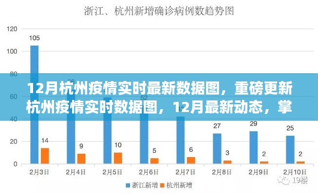 12月杭州疫情實(shí)時(shí)數(shù)據(jù)圖更新，掌握最新動(dòng)態(tài)，共筑健康防線