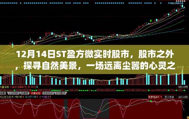 ST盈方微股市輕語(yǔ)，探尋自然美景的心靈之旅，啟程于股市之外