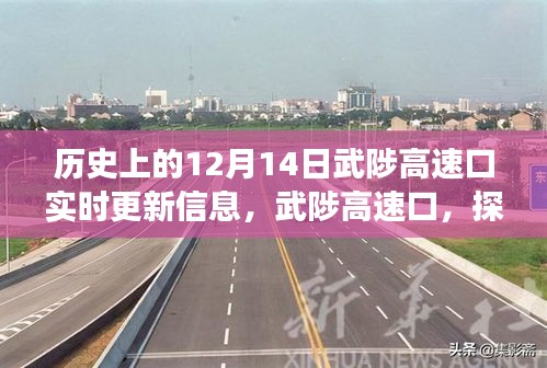 武陟高速口，探尋自然美景的啟程之地，揭秘歷史與未來，奇妙旅程盡在12月14日