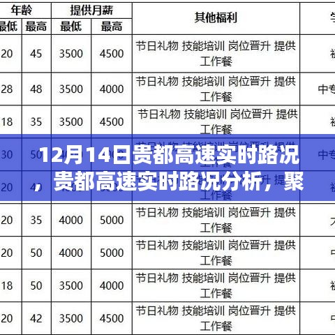 貴都高速實時路況聚焦，12月14日路況分析與各方觀點