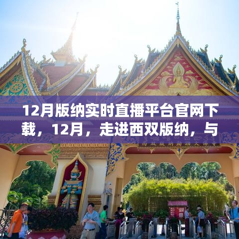 西雙版納實時直播平臺官網(wǎng)下載盛況回顧，與大自然共舞，體驗直播魅力
