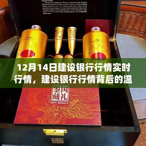 建設(shè)銀行行情背后的故事，特殊行情之旅揭秘溫馨故事（12月14日實時行情）