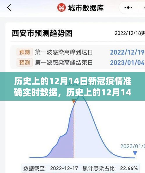 歷史上的12月14日新冠疫情實時數(shù)據(jù)解析與產品評測