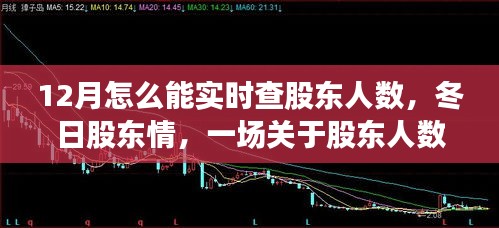 冬日股東情，實(shí)時(shí)查詢股東人數(shù)的故事與指南