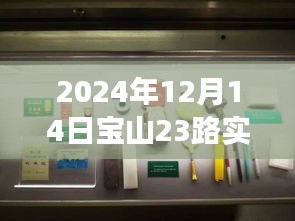 探秘寶山23路，巷弄深處的特色小店，驚喜之旅（實時動態(tài)，2024年12月14日）