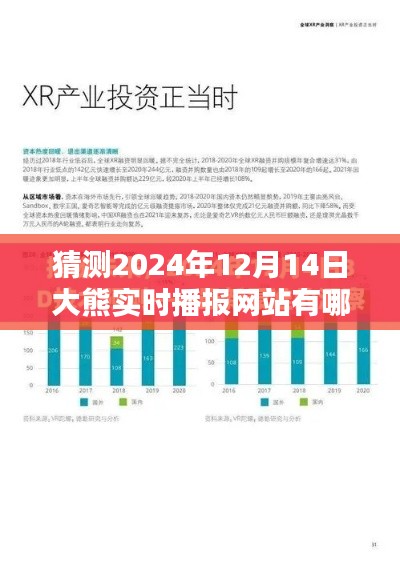 預(yù)測未來，探索大熊實時播報網(wǎng)站在2024年12月14日的形態(tài)